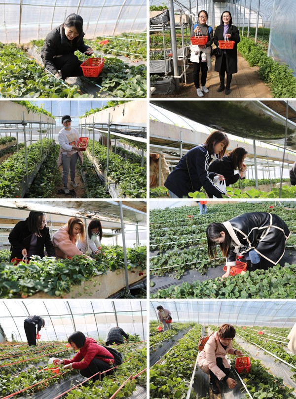 圖片關鍵詞 圖片關鍵詞